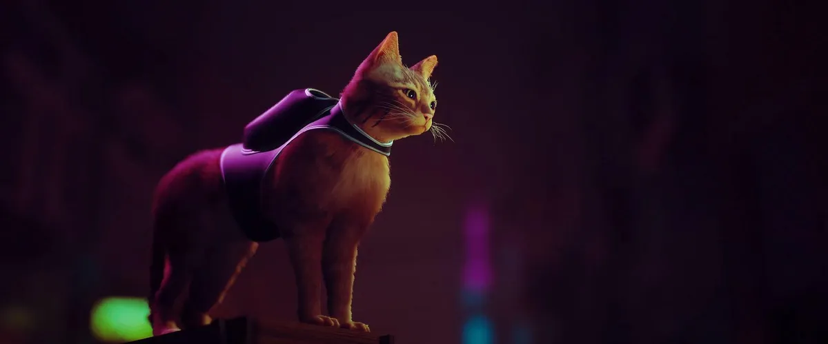 Stray (PS4 & PS5) — imagem 1